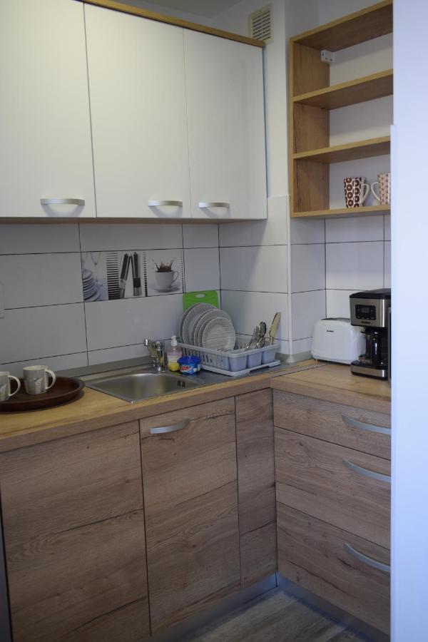 Apartament Palatul De Justitie Rhbm 巴亚马雷 外观 照片